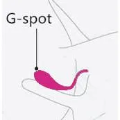 Female Sex Toys Nalone Introducing the CoCo Couples Mini Massager Shared Pleasure Endless Delight